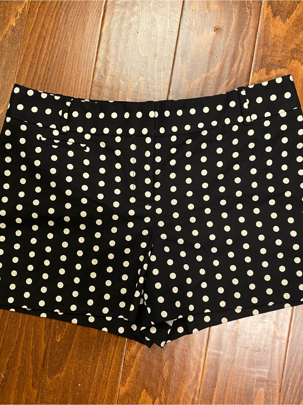 NWT LOFT Black White Polka Dot Tailored Shorts Size 12 High Rise - Picture 2 of 9